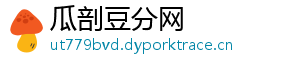 瓜剖豆分网